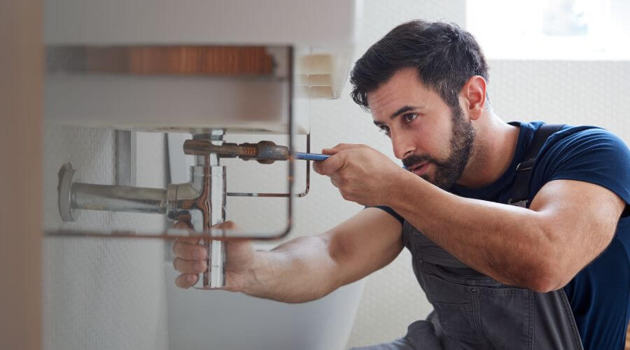 Trap Repair/Replacement in Nachusa, IL